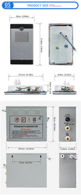 Multi de Saunamateriaal van de Functiestoom met de Verbinding van Bluetooth Cellphone/MP3 USB leverancier